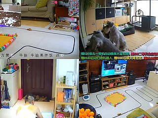 中国のライブ