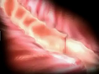 Acı ve zevk 3d hentai