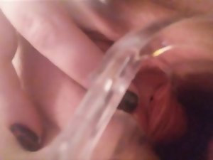 عکس کے ساتھ اپنی بلی میں peeing