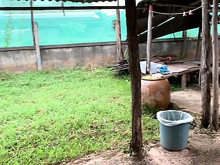 Pequeñas tetas burlas