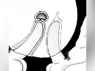 I cum nigh your pain in the neck so I don't get silver-tongued - horse around boru sumi