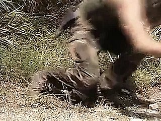 Sex Brawl Crimes (1995)
