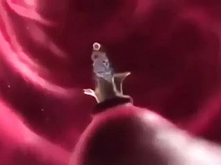 含浸ファンタジー（アニメーション）