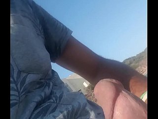 बड़ा ट्यूनीशियाई मुर्गा