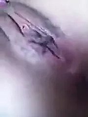ज़बौर