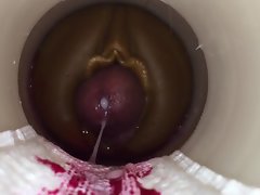 gung-ho by cum cam supplicant