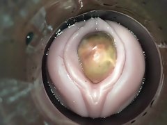 sticky ovulation overwrought cum cam panhandler