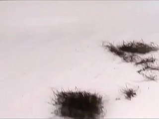 Ich – Muschi rasieren 2