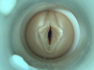 SQUIRT!  wits cum cam guy