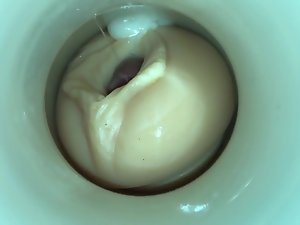 Ejaculator apart from cum cam impoverish