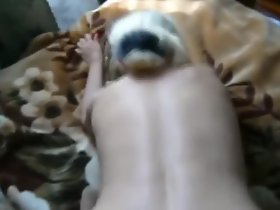 هزلي 2