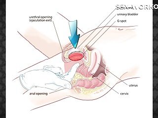 50 techniques lécher clito