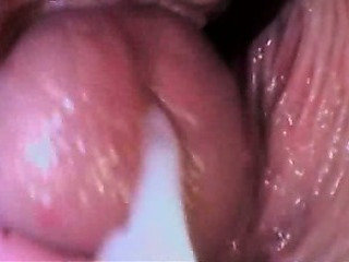 Eiaculazione / Creampie Compilation