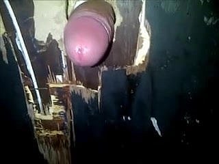 Bất động chính hãng Gravity Lỗ