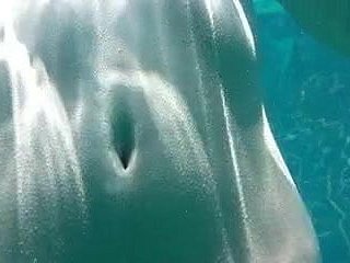 일본어 소프트 코어 (135)