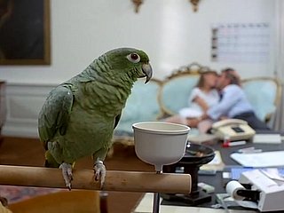 bağbozumu siyah çorap Sevimli 80'ler sarışın bebek klasik derin vocal seks yapar