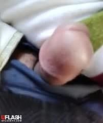 Hijabi Bus crumb