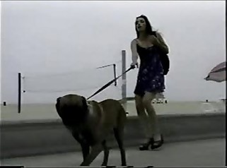 Sabrina Johnson & Nikki Brantz - Gangbang Girl 18